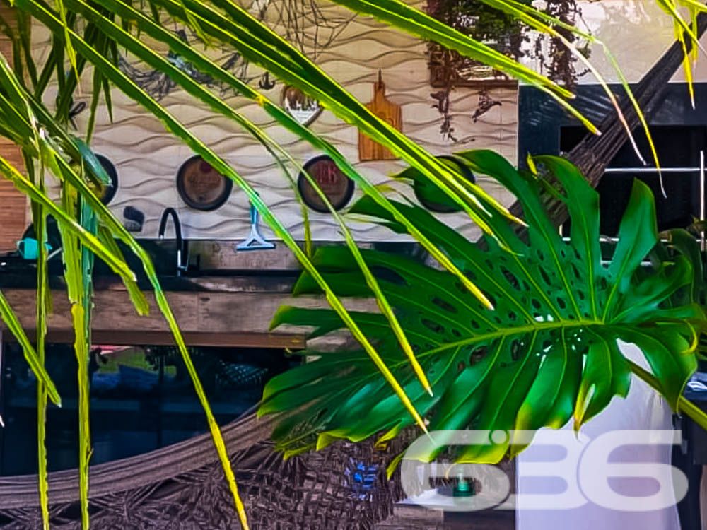 Descubra Seu Novo Lar no Paraíso de São Francisco do Sul!
Imagine viver a poucos passos da praia em um imóvel que combina conforto, beleza natural e localização estratégica. Esta casa térrea, localizada no bairro Ubatuba, é um verdadeiro convite à qualidade de vida. Construída em 2010, ela oferece 75m² de área privativa em um terreno espaçoso de 312,50m², com design funcional e detalhes que encantam.
Destaques do Imóvel:
Conforto Interno:
A residência possui uma sala de estar e jantar integradas, perfeitas para reunir a família e amigos em um ambiente acolhedor. A cozinha planejada é moderna e prática, com excelente aproveitamento de espaço e luz natural. O imóvel conta com um dormitório aconchegante, uma suíte espaçosa e dois banheiros bem distribuídos.
Lazer e Bem-Estar:
No exterior, você encontrará um espaço verde impecável, com palmeiras e flores que embelezam o jardim. A área de festas com churrasqueira é o lugar ideal para seus momentos de descontração. Relaxe em uma rede enquanto aproveita a brisa do mar e a tranquilidade que este imóvel proporciona.
Estrutura Completa:
A casa oferece uma garagem coberta e espaço para até dois carros descobertos. Tudo isso em uma propriedade completamente murada, garantindo segurança e privacidade para você e sua família.
Localização Perfeita:
Situada em uma rua pavimentada, a casa está a poucos metros da praia e conta com fácil acesso às principais vias da região. Você também estará próximo a serviços essenciais, comércios locais e transporte público, tornando o dia a dia ainda mais prático.
Se você busca um lar que combine praticidade, lazer e proximidade com a natureza, este é o lugar certo! Entre em contato com a 636 Negócios Imobiliários e agende sua visita.
Venha conhecer e se apaixonar pelo seu próximo endereço: um espaço onde cada detalhe foi pensado para você viver bem!
636 NEGÓCIOS IMOBILIÁRIOS: A SUA MELHOR ESCOLHA
Com mais de 30 anos de experiência, a 636 Negócios Imobiliários é sua parceira ideal para encontrar o imóvel perfeito. Estamos prontos para ajudá-lo a fazer deste imóvel o seu novo lar.
Telefone: (47) 3451-0636
WhatsApp: (47) 99190-0636
Não perca esta oportunidade única. Visite nosso site para mais informações: i636.com.br