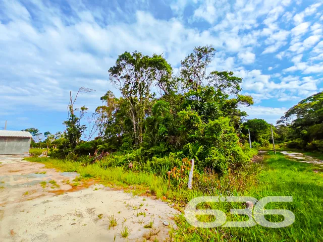 Você está em busca de um terreno para investir com