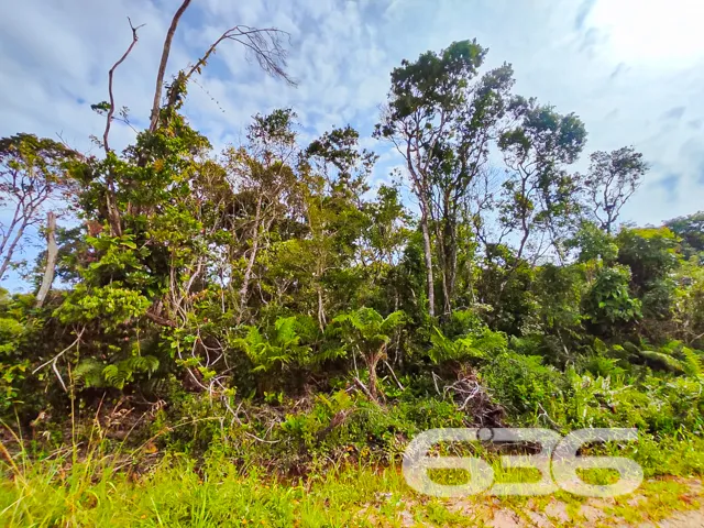 Você está em busca de um terreno para investir com