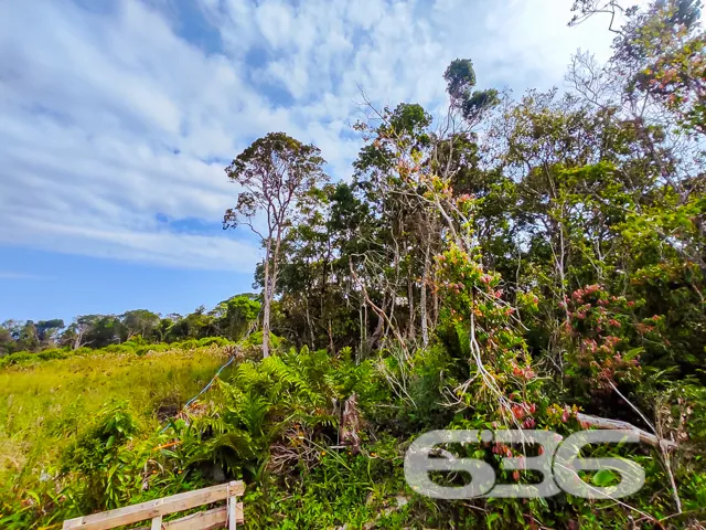 Você está em busca de um terreno para investir com