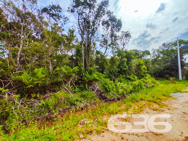 Você está em busca de um terreno para investir com