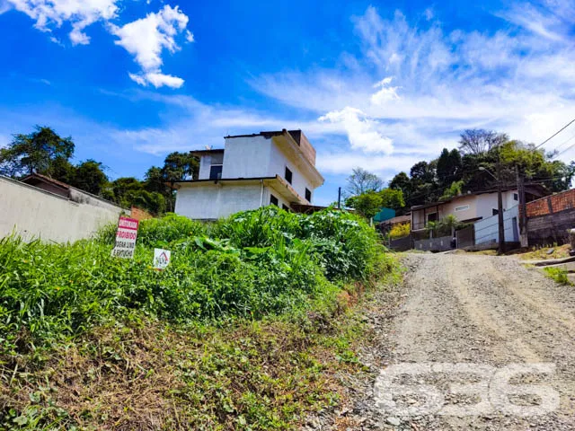 TERRENO À VENDA NO BAIRRO FLORESTA
Situado no bai