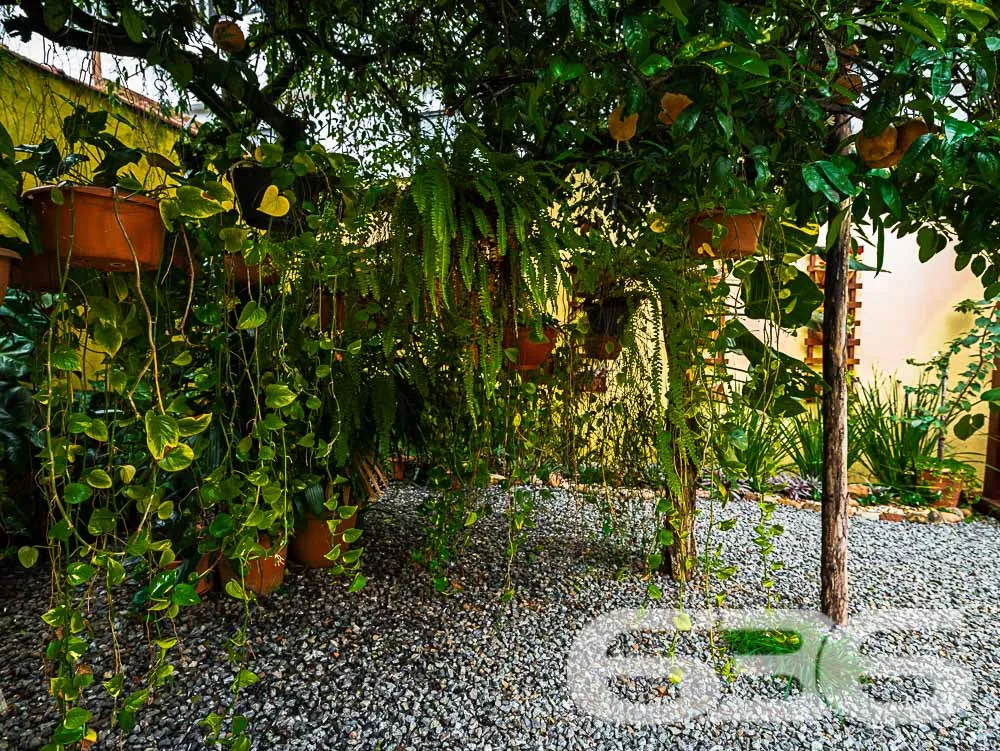 Charmosa residência térrea com amplo espaço e loca