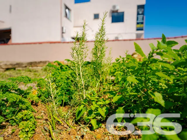 Casa Espaçosa com Potencial Comercial no Iririú, J