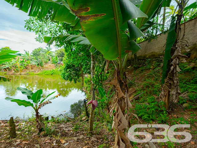 TERRENO AMPLO COM DUAS RESIDÊNCIAS NO CENTRO DE PI