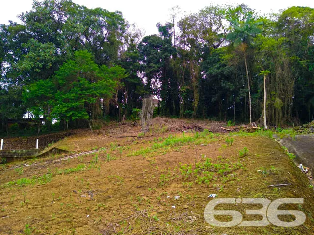 OPORTUNIDADE DE TERRENO, NO BAIRRO BOM RETIRO, EM