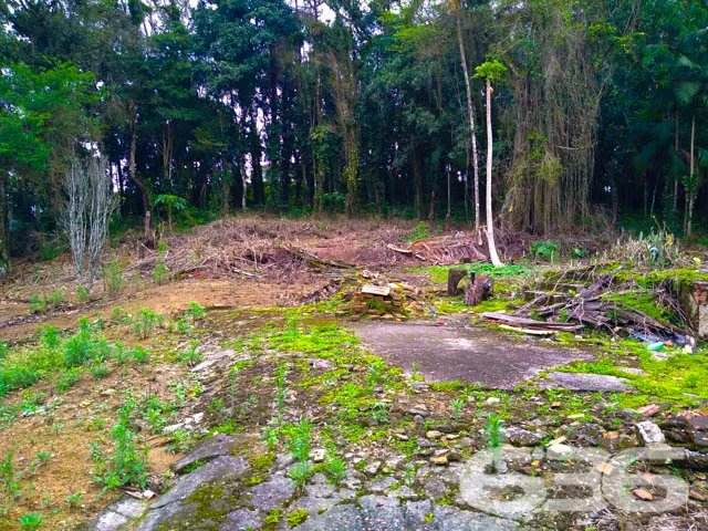 OPORTUNIDADE DE TERRENO, NO BAIRRO BOM RETIRO, EM