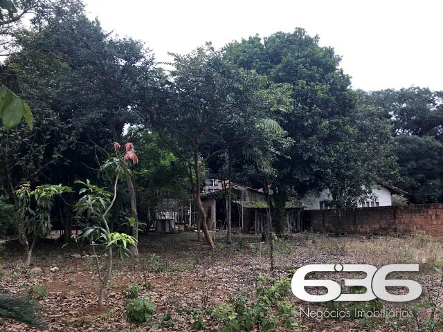 TERRENO ESPAÇOSO NO BAIRRO NOVA BRASÍLIA - O LOCAL