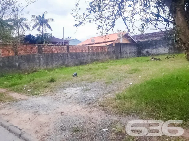 ???? Construa Seu Futuro no Bairro Floresta, Joinv