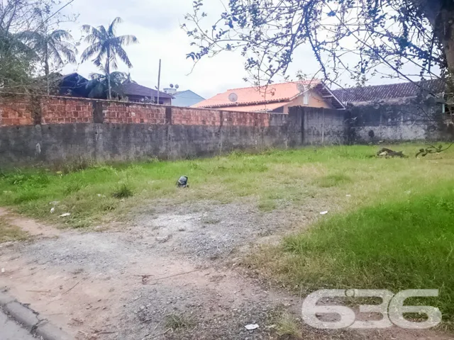 ???? Construa Seu Futuro no Bairro Floresta, Joinv