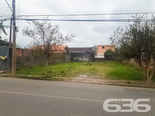 ???? Construa Seu Futuro no Bairro Floresta, Joinv