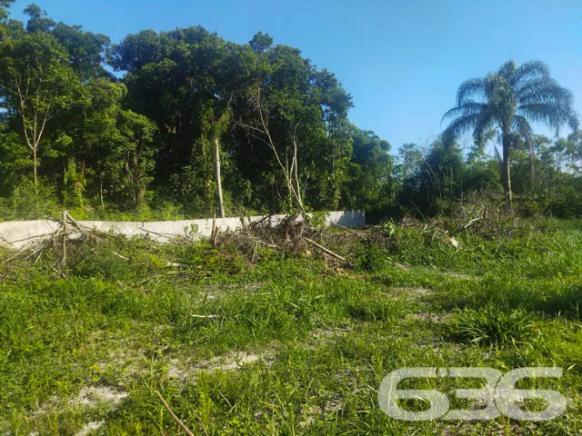 OPORTUNIDADE DE TERRENO À VENDA EM ARAQUARI, SANTA