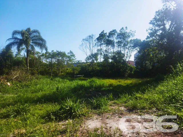 OPORTUNIDADE DE TERRENO À VENDA EM ARAQUARI, SANTA