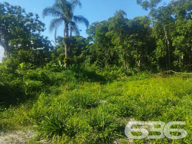 OPORTUNIDADE DE TERRENO À VENDA EM ARAQUARI, SANTA