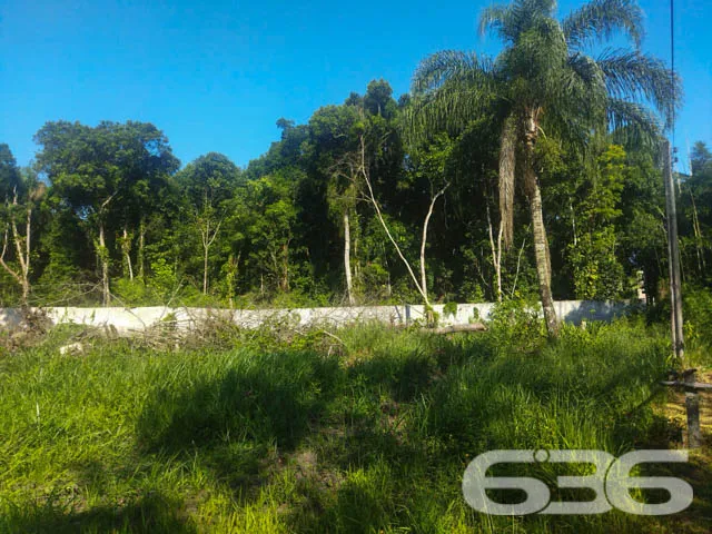 OPORTUNIDADE DE TERRENO À VENDA EM ARAQUARI, SANTA