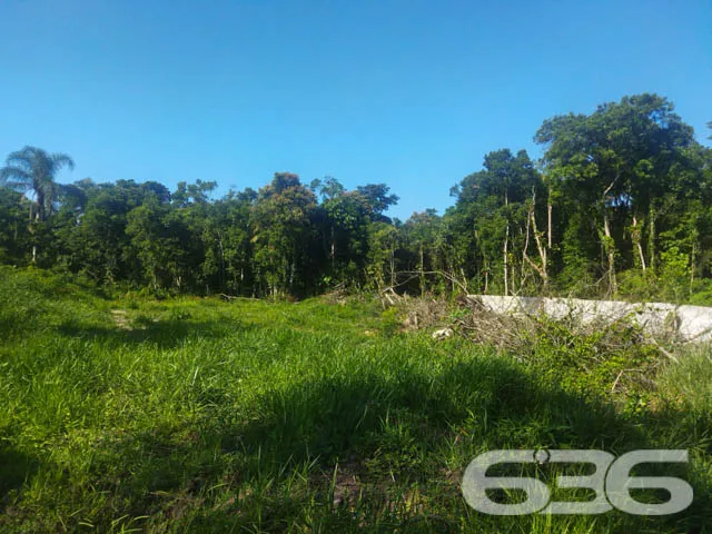 OPORTUNIDADE DE TERRENO À VENDA EM ARAQUARI, SANTA