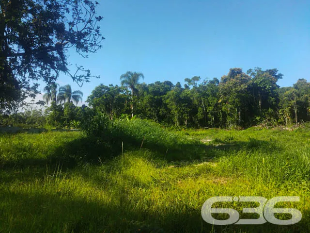 OPORTUNIDADE DE TERRENO À VENDA EM ARAQUARI, SANTA