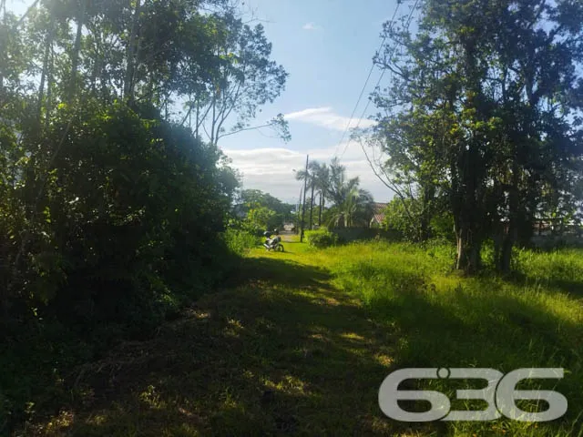 OPORTUNIDADE DE TERRENO À VENDA EM ARAQUARI, SANTA