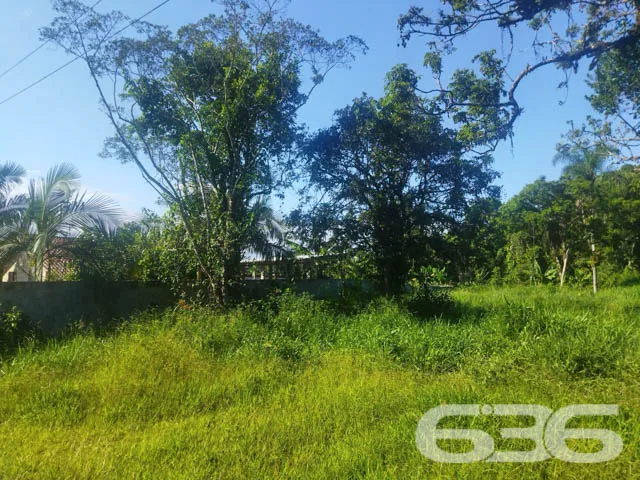 OPORTUNIDADE DE TERRENO À VENDA EM ARAQUARI, SANTA