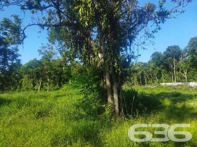 OPORTUNIDADE DE TERRENO À VENDA EM ARAQUARI, SANTA