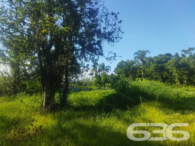 OPORTUNIDADE DE TERRENO À VENDA EM ARAQUARI, SANTA