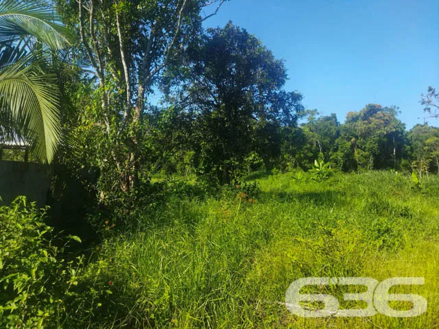 OPORTUNIDADE DE TERRENO À VENDA EM ARAQUARI, SANTA