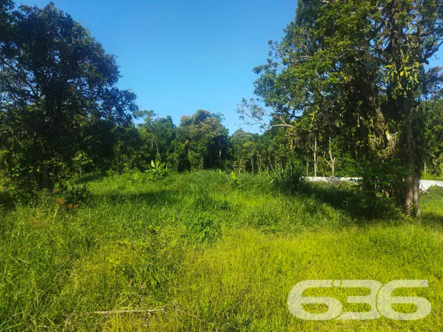 OPORTUNIDADE DE TERRENO À VENDA EM ARAQUARI, SANTA