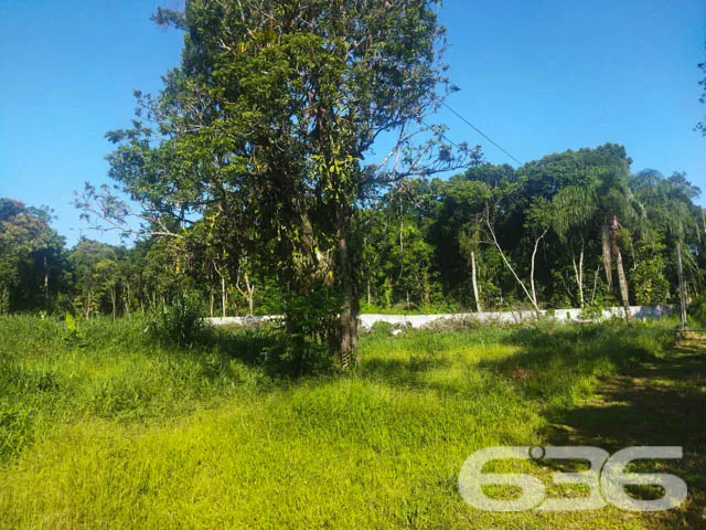 OPORTUNIDADE DE TERRENO À VENDA EM ARAQUARI, SANTA