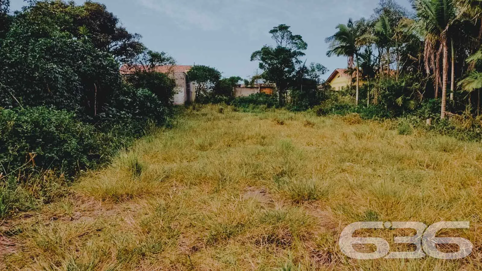 LOTE À VENDA EM SÃO FRANCISCO DO SUL, SANTA CATARI