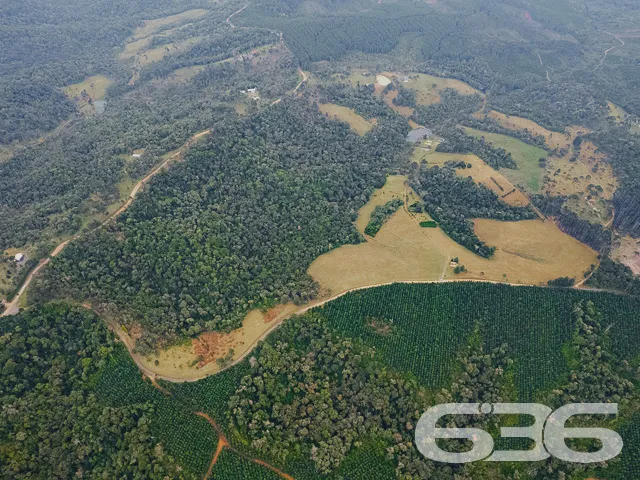 Descubra a Chácara dos Seus Sonhos em Campo Alegre
