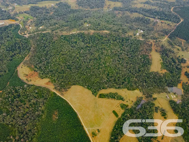 AMPLO SÍTIO COM 30.000m² EM CAMPO ALEGRE

Descubra