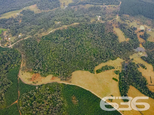AMPLO SÍTIO COM 30.000m² EM CAMPO ALEGRE

Descubra