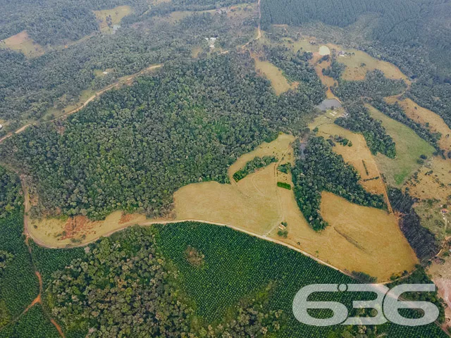 AMPLO SÍTIO COM 30.000m² EM CAMPO ALEGRE

Descubra