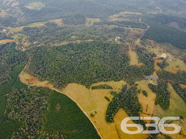 AMPLO SÍTIO COM 30.000m² EM CAMPO ALEGRE

Descubra