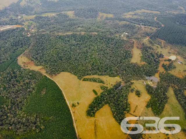 AMPLO SÍTIO COM 30.000m² EM CAMPO ALEGRE

Descubra
