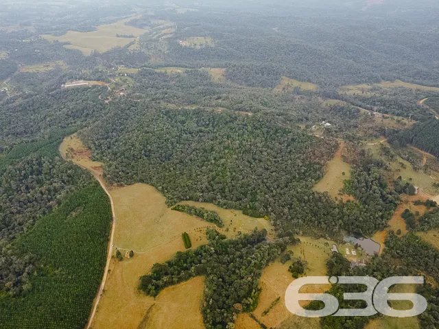 AMPLO SÍTIO COM 30.000m² EM CAMPO ALEGRE

Descubra