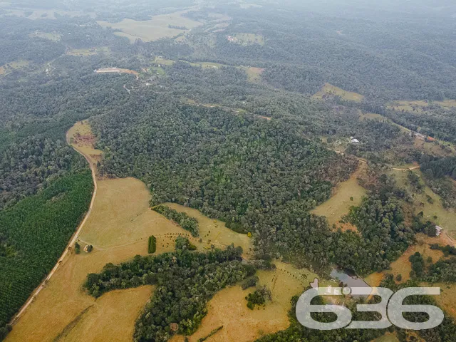 AMPLO SÍTIO COM 30.000m² EM CAMPO ALEGRE

Descubra