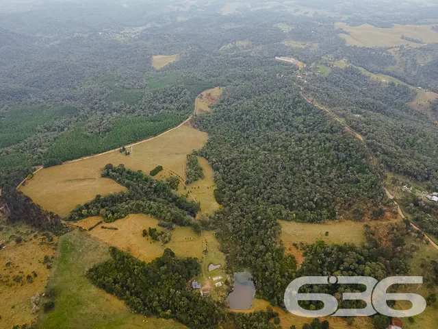 AMPLO SÍTIO COM 30.000m² EM CAMPO ALEGRE

Descubra