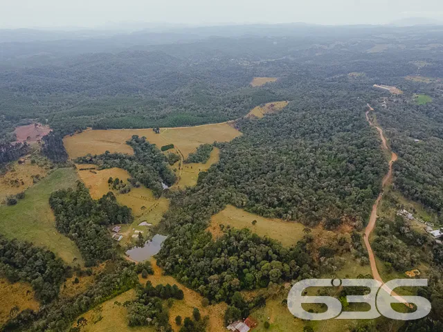 AMPLO SÍTIO COM 30.000m² EM CAMPO ALEGRE

Descubra