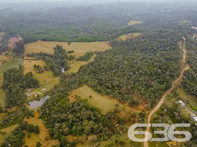 AMPLO SÍTIO COM 30.000m² EM CAMPO ALEGRE

Descubra