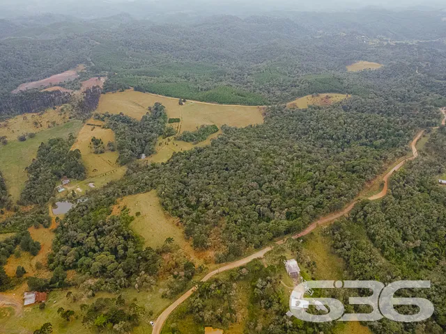 AMPLO SÍTIO COM 30.000m² EM CAMPO ALEGRE

Descubra