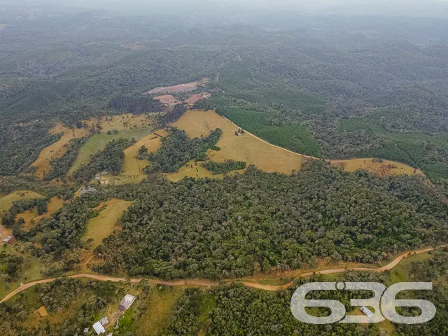 AMPLO SÍTIO COM 30.000m² EM CAMPO ALEGRE

Descubra