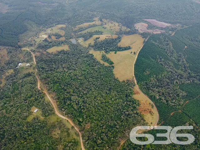 AMPLO SÍTIO COM 30.000m² EM CAMPO ALEGRE

Descubra