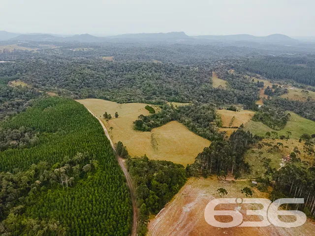AMPLO SÍTIO COM 30.000m² EM CAMPO ALEGRE

Descubra