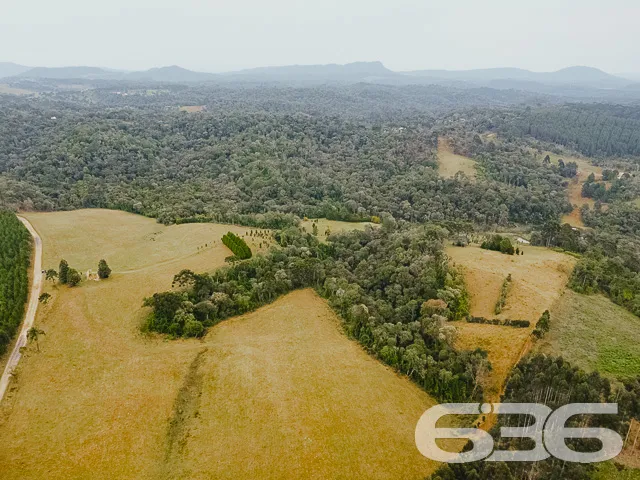AMPLO SÍTIO COM 30.000m² EM CAMPO ALEGRE

Descubra