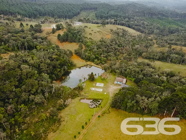 AMPLO SÍTIO COM 30.000m² EM CAMPO ALEGRE

Descubra