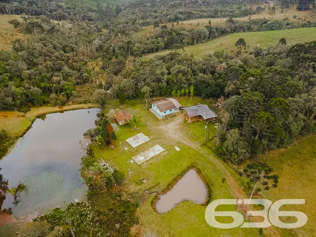 AMPLO SÍTIO COM 30.000m² EM CAMPO ALEGRE

Descubra