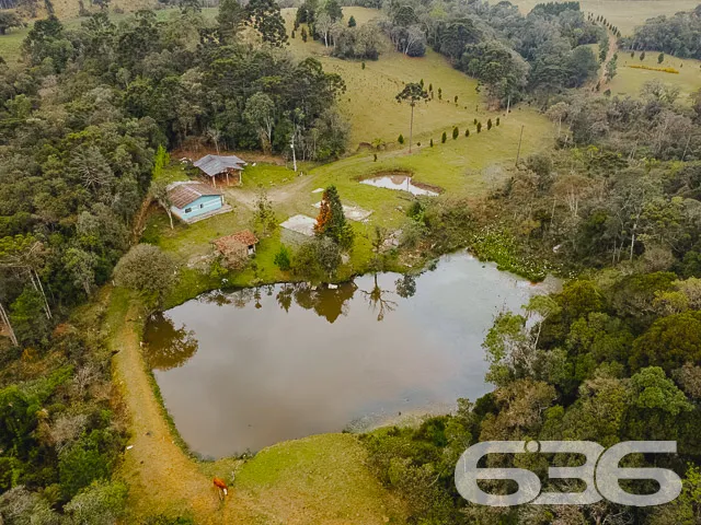 AMPLO SÍTIO COM 30.000m² EM CAMPO ALEGRE

Descubra