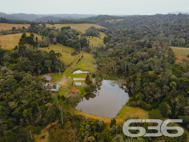 AMPLO SÍTIO COM 30.000m² EM CAMPO ALEGRE

Descubra