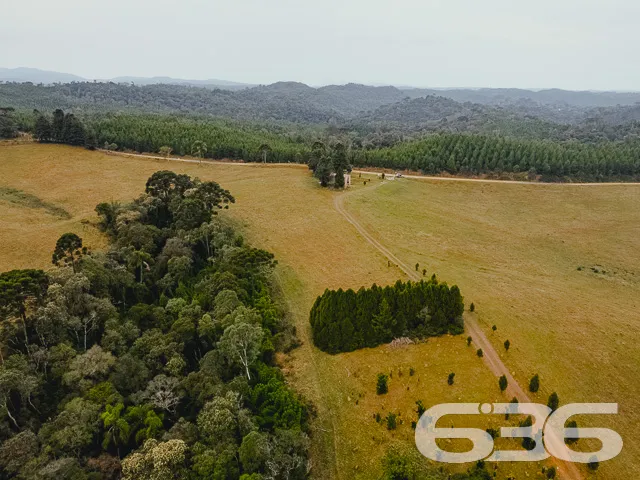 AMPLO SÍTIO COM 30.000m² EM CAMPO ALEGRE

Descubra